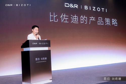 比佐迪产品策略解读