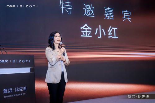 德意智家与比佐迪合作缘起