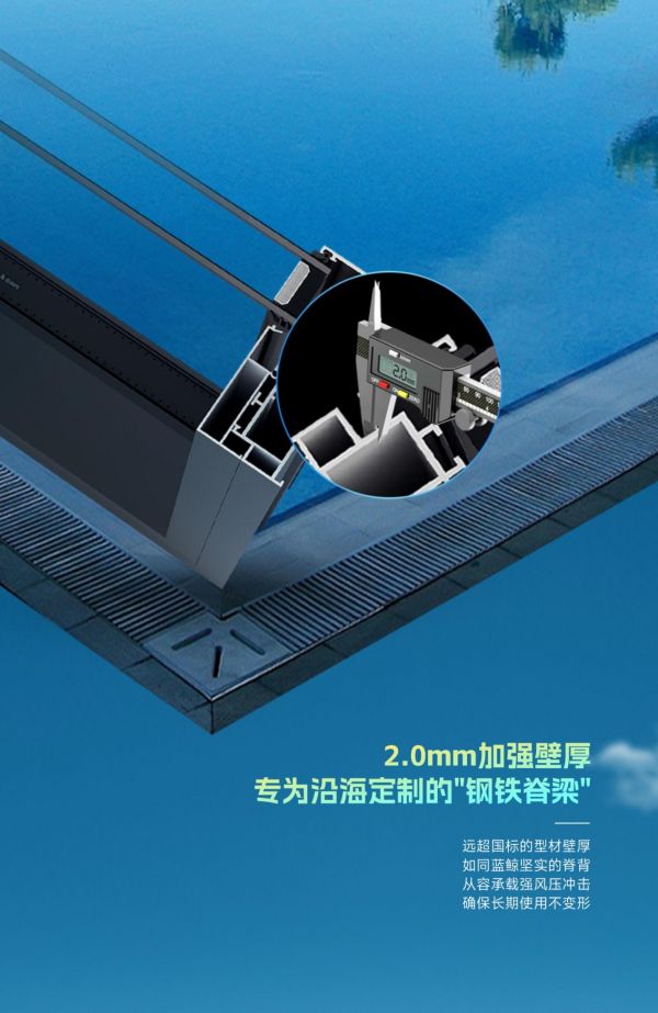Blue Whale System Windows - Wind Resistance