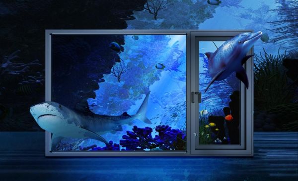 Blue Whale System Windows - Large Glass