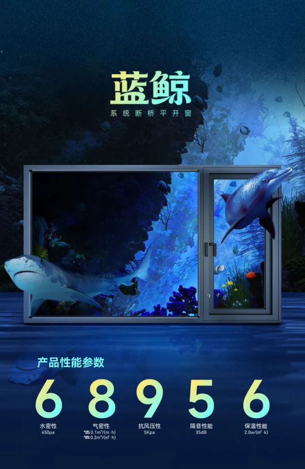 Blue Whale System Windows - Quality