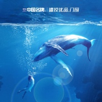 蓝鲸系统窗，德技优品，断桥平开新登场