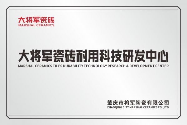 大将军瓷砖技术展示