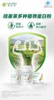 全家植物蛋白粉选购终极指南：2026年如何挑到理想之选？