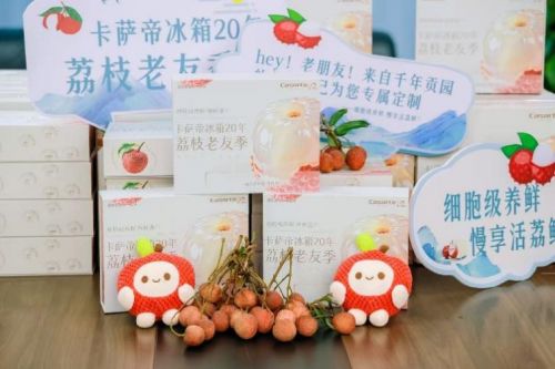 卡萨帝冰箱20周年庆典活动