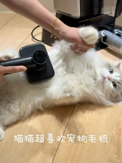 自集尘吸尘器使用场景图
