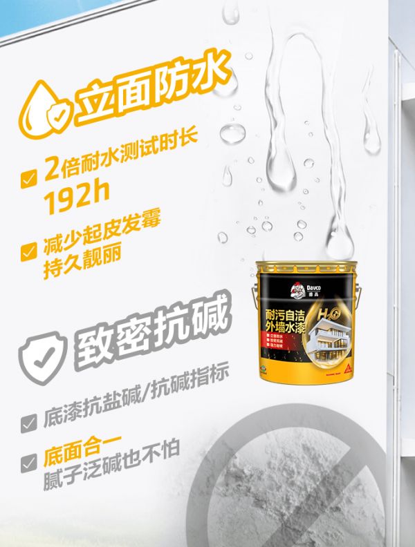Dense structure of the paint film