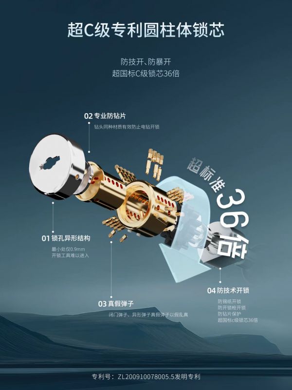 王力安防物理安全设计
