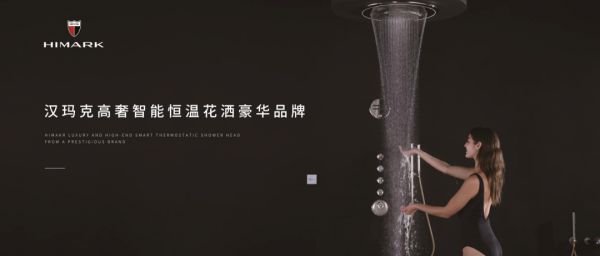 汉玛克市场地位