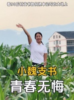 美的小家电“回家吃饭”联名考拉日记，90后村支书送饭视频出圈，诠释IP长期主义