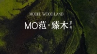 QD瓷砖MO范·臻木，沉浸式的木纹赞歌