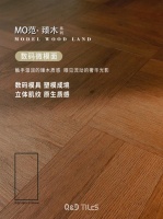 木纹砖一线品牌QD瓷砖，满足年轻消费群体的多元需求
