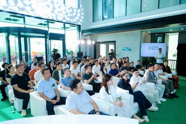 Forum on Light and Space Aesthetics