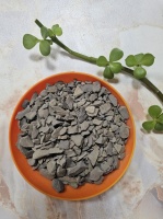 2026吸附•生物酶 •光触媒•净化器四大除味除甲醛技术优劣实测解析
