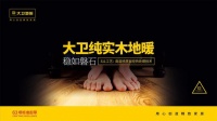 大卫地板28载，匠心筑家精粹呈现