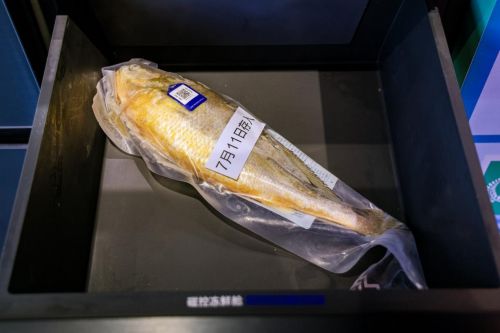 Haier Yunxi 9 Series Refrigerator