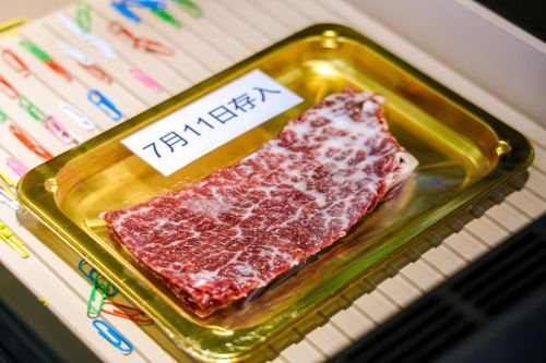 Haier Seeker Refrigerator