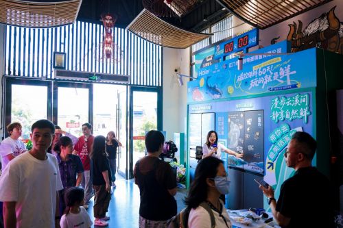 Haier Refrigerator Preservation Challenge