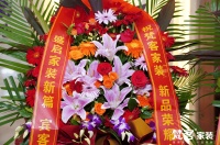梵家F13新品发布会圆满落幕，智享版正式发售