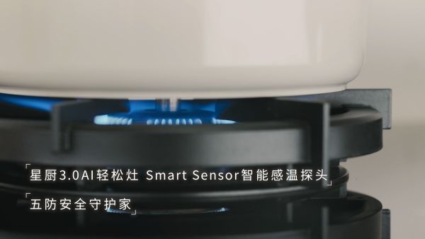 林内华炎燃烧技术示意图