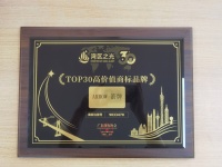 “湾区之光”评选标准解析：箭牌商标硬核资产揭秘