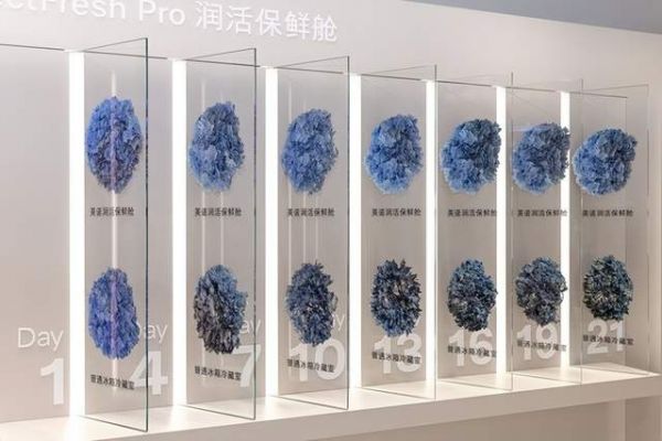 美诺Miele冰箱PerfectFresh Pro润活保鲜科技展示