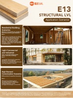LVL等级选择：E10-E14应用解析