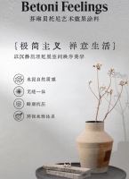 芬琳贝托尼涂料：环保耐磨，简雅生活新选择