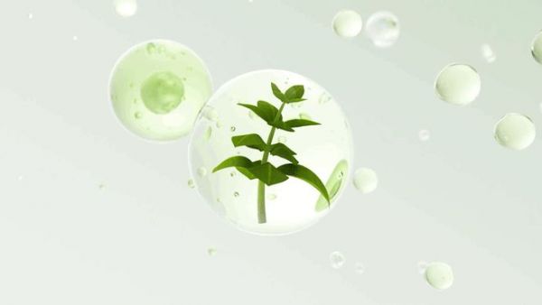 兔宝宝香氛抑菌板的自然香韵