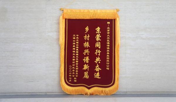 调研组参观美巢集团