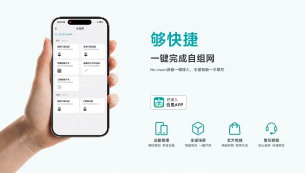 Ho-mesh无线组网技术