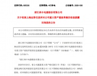 上交所问询帅丰电器重组，跨界收购疑点重重