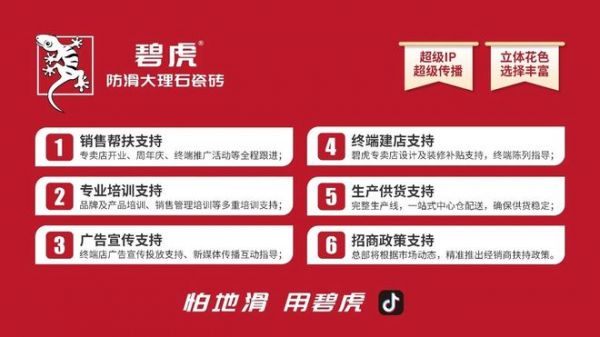 碧虎海南全域联动促销大捷