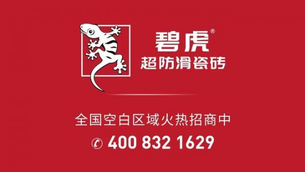 碧虎未来发展规划