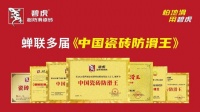 先到先得！碧虎带整套成功模式助力首届临沂陶博会