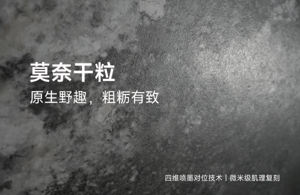 Image of Monet dry particle surface technology