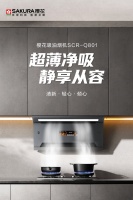 存量竞争时代下，SAKURA樱花以精细化体验回应消费升级