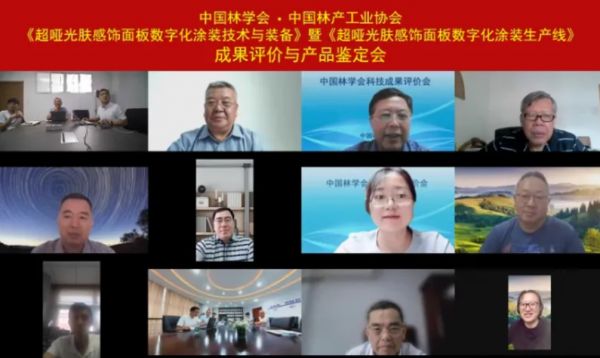 鉴定专家