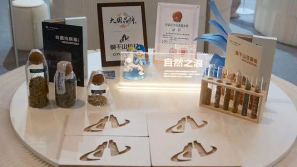绿绘蓝图 “碳”索未来
