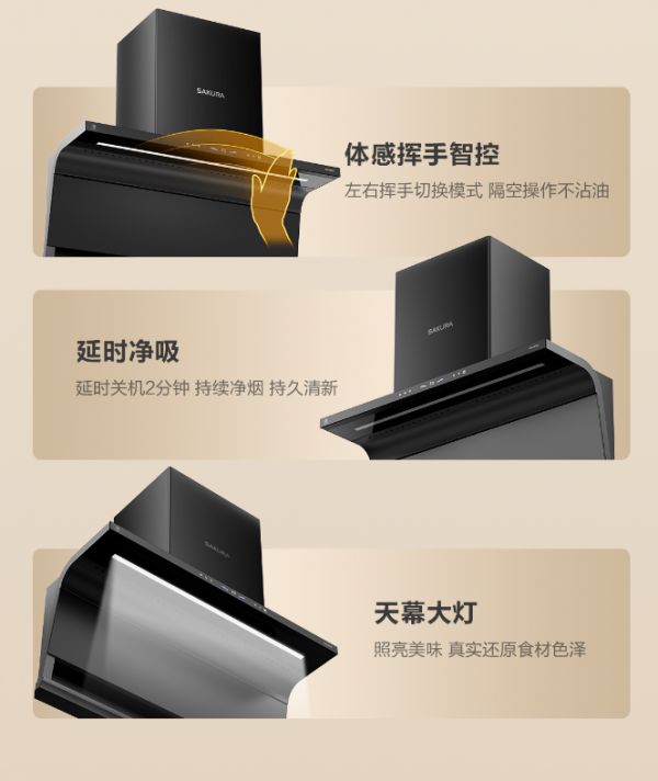 体感智控藏细节