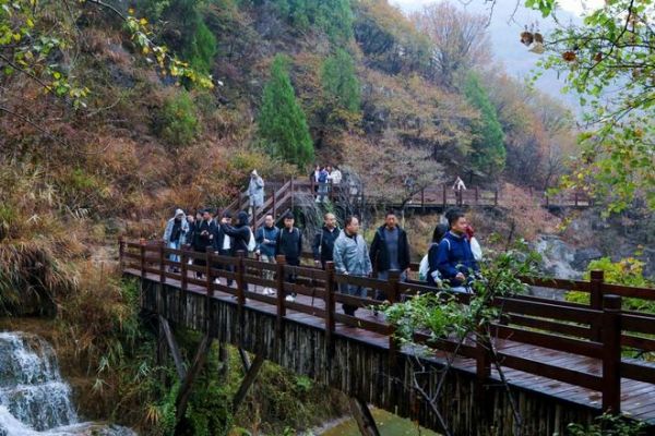 临溪观瀑，聚力破局丨米兰之窗集团董事长马俊清在中国家居门窗行业企业家沙龙做总结讲话