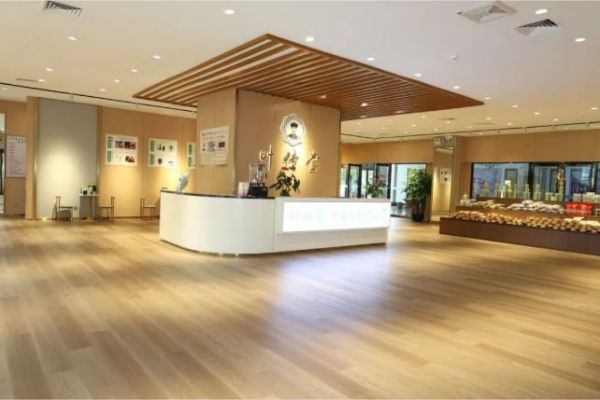 未来展望