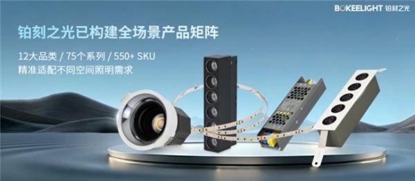 铂刻之光产品矩阵图