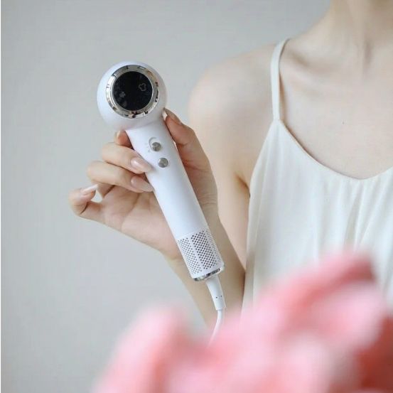 GIRJEA Hair Dryer and Steamer