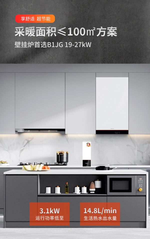 Viessmann B1JG Wall-Mounted Boiler