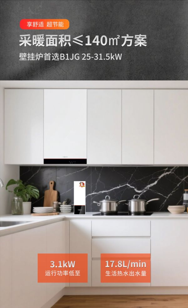 Viessmann B1JG Wall-Mounted Boiler