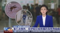 2026年蚊扰防护攻略：纱窗选购避坑指南